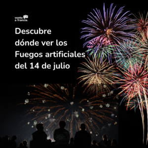 Algunas personas admiran el cielo mientras descubren los fuegos artificiales del 14 de julio en Francia