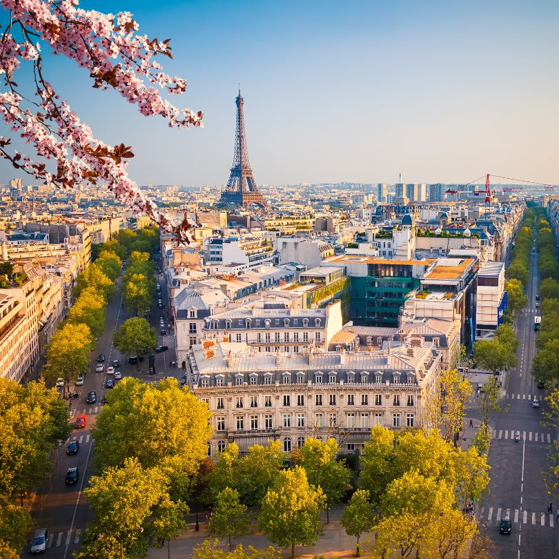 Empleo para enfermera en ginecología en París